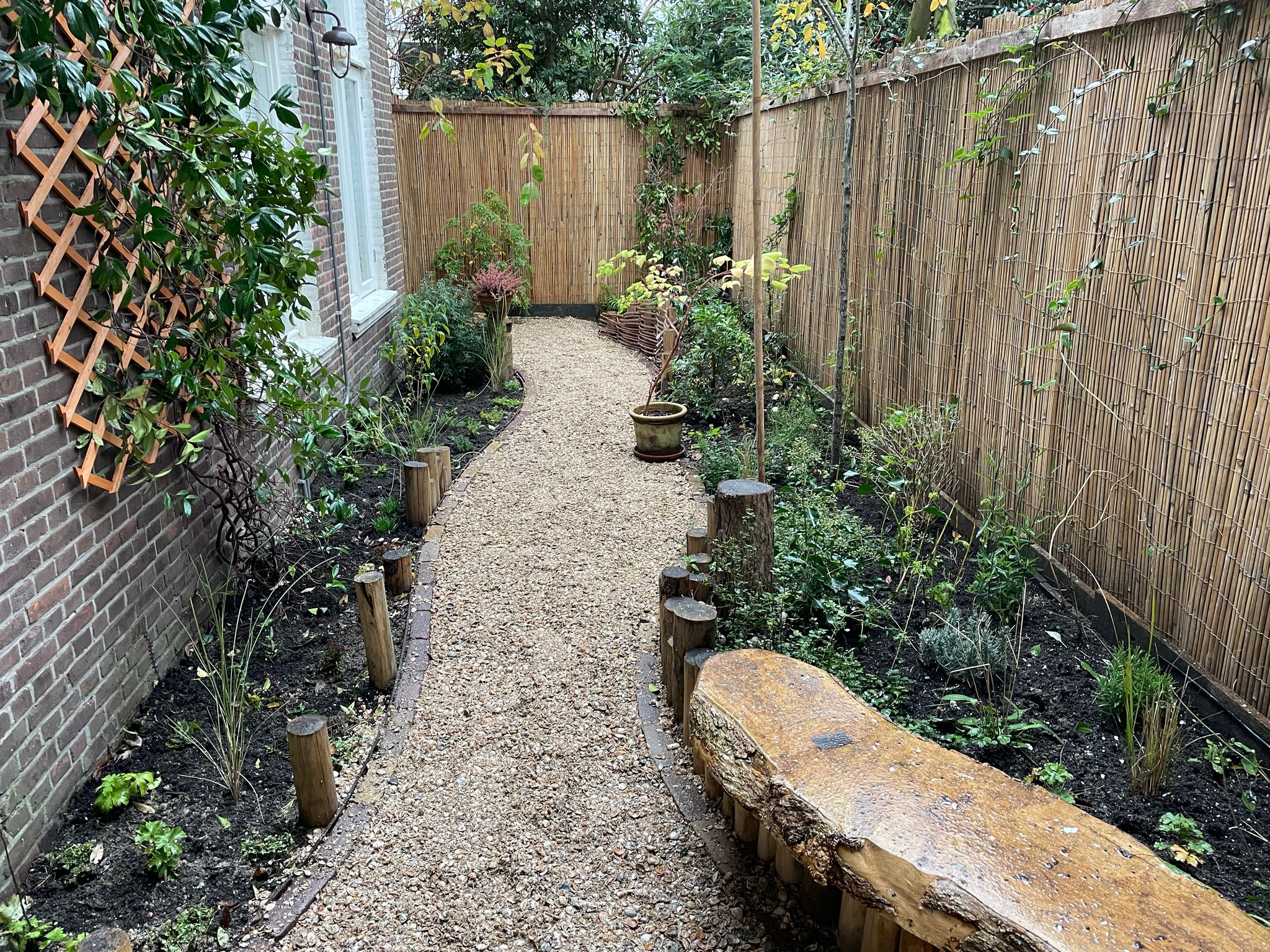Natural Edge Bank 2